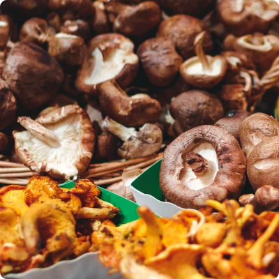 Mushrooms & Truffles