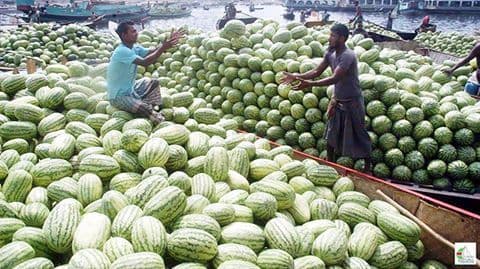 https://tradewindsblobproduction.blob.core.windows.net/tradewinds-static/product_image/1696332655-ebdbe59cb624850b77436a41f360ef53--summer-fruit-bangladesh.jpg