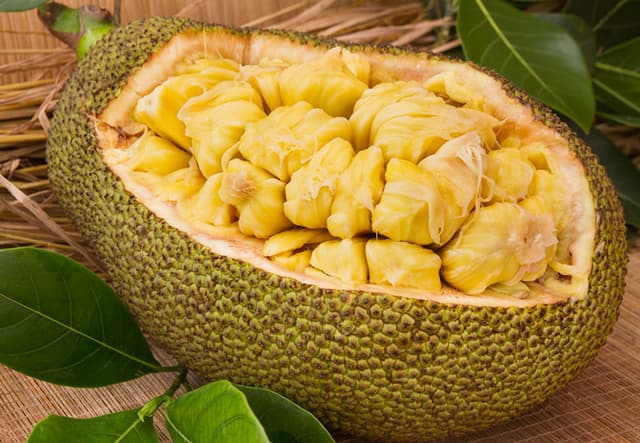 Jack Fruit