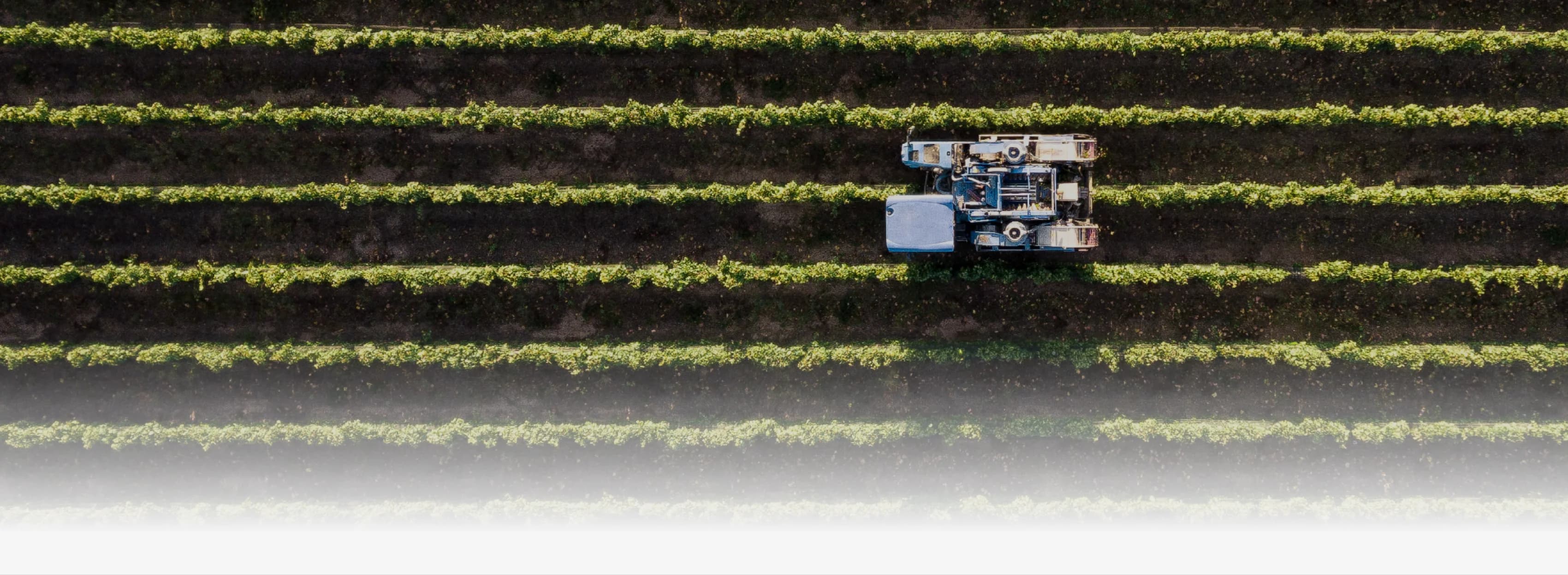 From local farmers to large volume vendors