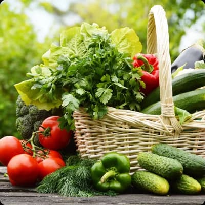 Vegetales frescos